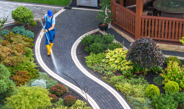 Best Power Washing Near Me  in Arnold, MD